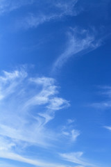 Bodies of unique delicate painterly diffused thin white cloud patterns on a blue sky nature background