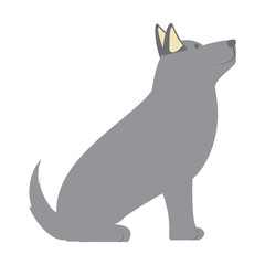 cute husky dog icon over background, colorful design. vector illustration