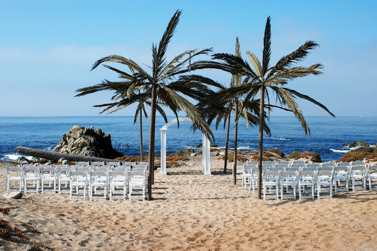 Ready for a beach wedding in Monterey, California with the blue Pacific Ocean in the background, palm tress on the sandy beach and clear blue skys overhead. 