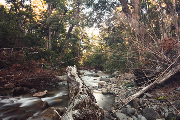 Long exposure river in Los Alerces National Park