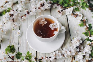 Cup of green tea and spring apricot blossom on a light grey wooden background. Rustic.