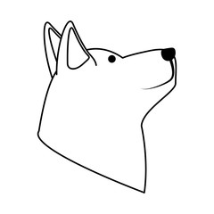 cute husky dog head icon over white background,  vector illustration