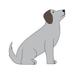 cute dog icon over white background, colorful design. vector illustration