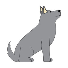 cute husky dog icon over background, colorful design. vector illustration