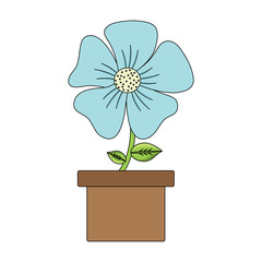 beautiful flower in a pot over white background, colorful design. vector illustration