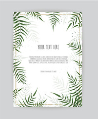 Background with green leaf , eucalyptus branches, decorative wreath frame pattern.