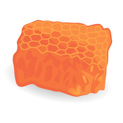 Honey comb isolated vector illustration on a white background