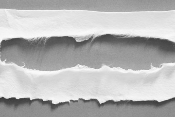 pieces of torn paper texture background, copy space.
