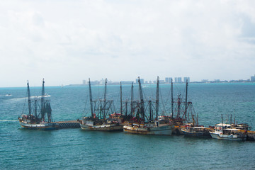 Obraz premium Ocean view