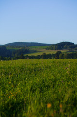 peaceful highlands landscape of czech republic, europe