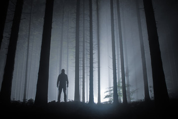 fog in a forest at night with mysterious silhouette and light in the distance © listercz