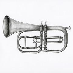 Hand drawn trumpet isolated on background © Rawpixel.com