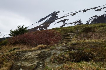 Mount Roberts Trail with small stairs, Juneau, Alaska