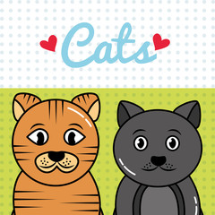 cats pets portrait cartoon animals vector illustration