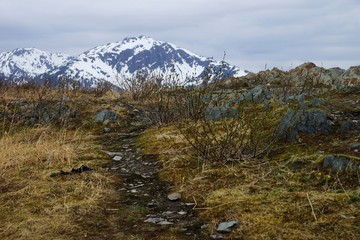 Fototapeta premium Mount Roberts Trail, Juneau, Alaska