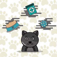 pets gray cat cartoon with food toy and medicine vector illustration