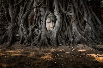 The Face. Mahathat Temple, Ayutthaya Thailand