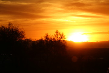 Fototapeta na wymiar Arizona Sunset 2