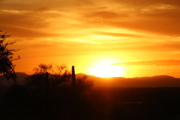 Fototapeta premium Arizona Sunset 1