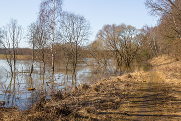 The flood of the river in spring in high water