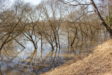 The flood of the river in spring in high water
