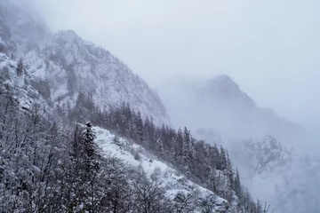 Fotobehang winter alpine landscape, slovenia. © listercz