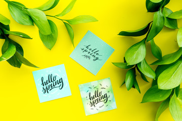 Fototapeta na wymiar Spring background. Hand lettering hello spring near young green branch on yellow top view