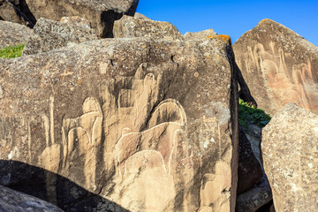Fragments of  rocks with ancient drawings