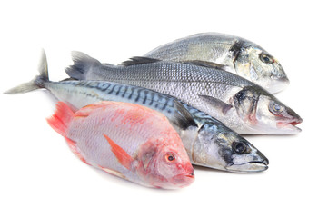 Sea fish
