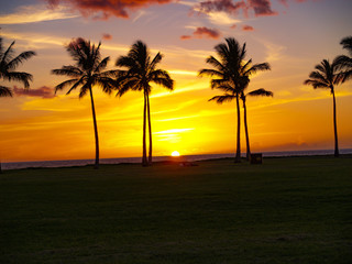 Obraz na płótnie Canvas Beach Sunset