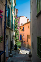 Collioure, côte vermeille, France.