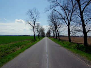 Polska wiejska, asfaltowa droga wiodąca do wsi, poprzez obsiane pola wczesną wiosną - obrazy, fototapety, plakaty