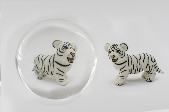 Little White Bengal Tiger Figurine And The Glass Ball