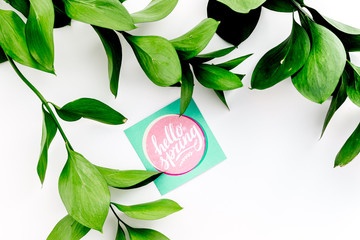 Spring lettering, spring motto. Lettering hello spring on stickers among green foliages on white table top view copy space