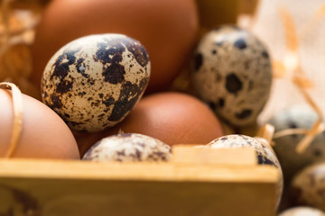 Fresh farm brown eggs on rustic background