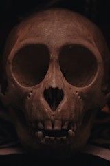Altar with skull, statue and candles