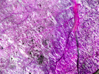 purple crack root marble granite stone luxury interior floor