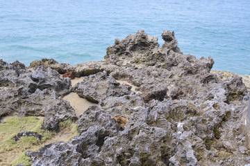 Magma formed rocks on the shoreine of the Dominican Republic showing embedded fossils and marine life