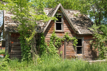 Fototapeta na wymiar Abandoned farm house overgrown with ivy
