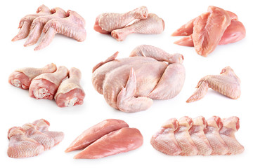 Fototapeta Fresh raw chicken and chicken parts isolated on white background. Breast, wings and legs. obraz