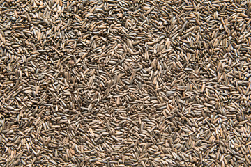 Backround of niger thistle bird seed for finches, junco and siskins