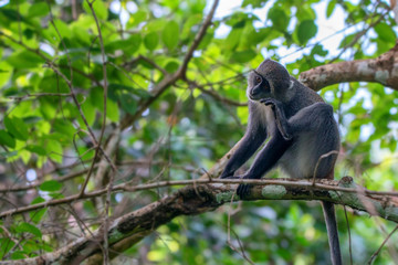 Scenic landscape of autumn forest