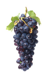 Grape fruit