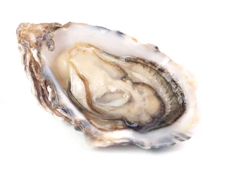 Fotobehang Fresh oyster © valeriy555
