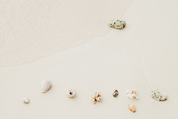 Sea shells and corals on white soft sand beach with copy space. Flat lay, top view. Travel blog footer. Space for text