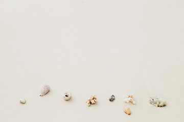 Sea shells and corals on white soft sand beach with copy space. Flat lay, top view. Travel blog footer. Space for text