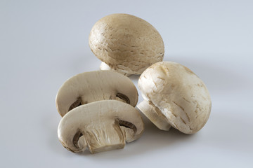 Fresh champignon mushrooms on a gray background