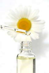 Chamomile essential oil. Pipette with  camomile oil and  white daisy on a light background. Organic pure natural oil