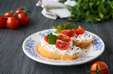 Fototapeta na wymiar Bruschetta with ricotta cheese, cherry tomatoes and cilantro on a plate 