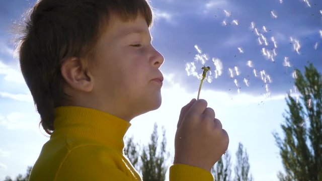 Silhouette of Little boy blowing up the dandelion